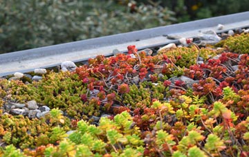 the cost of Tilley green roof installation