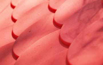 Tilley plastic roof costs